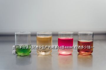 貴州茅臺鎮(zhèn)天財酒業(yè)生產(chǎn)的賴茅53度480ML白酒多少錢一瓶