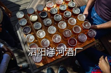 泗陽(yáng)洋河酒廠