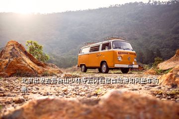 北京出發(fā)去云臺山少林寺云岡石窟自助游如何坐車購票