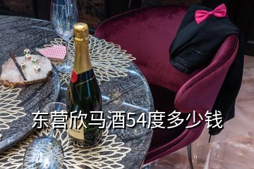 東營欣馬酒54度多少錢