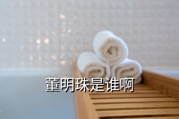 董明珠是誰啊