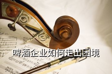 啤酒企業(yè)如何走出困境