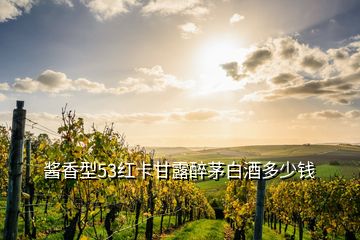 醬香型53紅卡甘露醉茅白酒多少錢