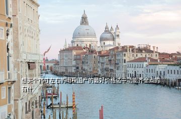 想買(mǎi)個(gè)75寸左右的電視國(guó)產(chǎn)的最好價(jià)格適中功能齊全點(diǎn)的有什
