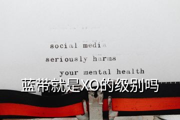 藍帶就是XO的級別嗎