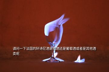 請(qǐng)問(wèn)一下法國(guó)的軒詩(shī)尼酒是紅酒還是葡萄酒或者是其他酒類(lèi)呢