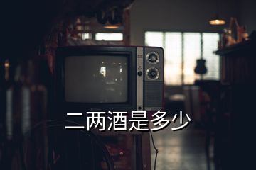 二兩酒是多少