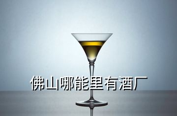 佛山哪能里有酒廠