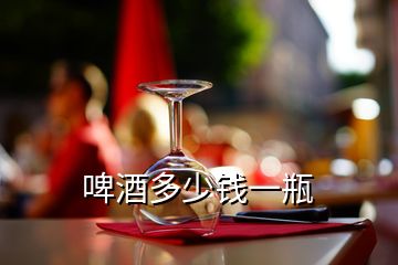 啤酒多少錢(qián)一瓶