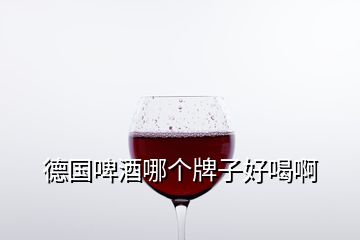 德國啤酒哪個(gè)牌子好喝啊