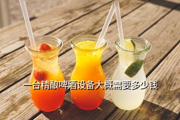 一臺(tái)精釀啤酒設(shè)備大概需要多少錢