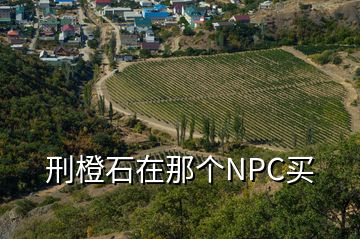 刑橙石在那個NPC買