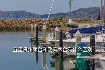 五星貴州茅臺和飛天茅臺有什么區(qū)別