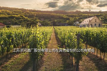 江蘇洋河酒廠股份有限公司在其他省份的公司有那些