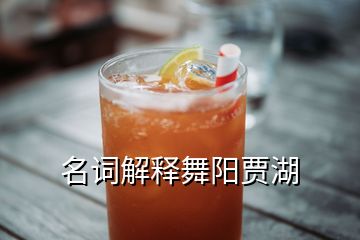 名詞解釋舞陽賈湖