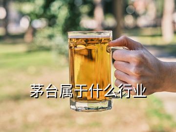 茅臺(tái)屬于什么行業(yè)