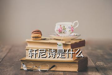 軒尼詩是什么