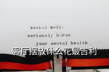 客廳擺放什么花最吉利