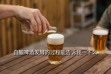 自釀啤酒發(fā)酵的過程能告訴我一下么