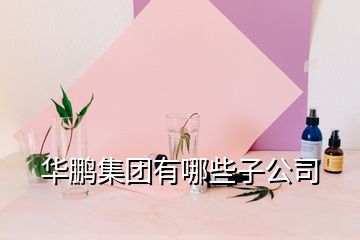 華鵬集團有哪些子公司