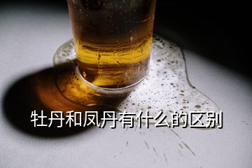 牡丹和鳳丹有什么的區(qū)別