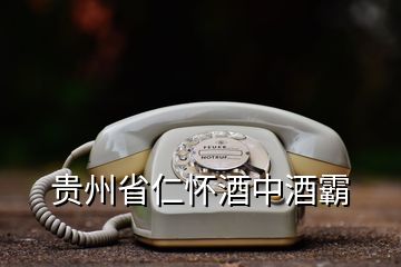 貴州省仁懷酒中酒霸