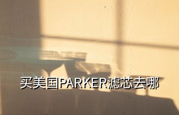 買美國(guó)PARKER濾芯去哪