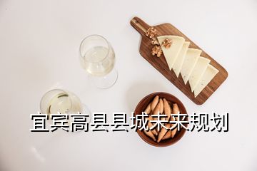 宜賓高縣縣城未來規(guī)劃