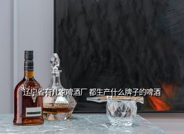 遼寧省有幾家啤酒廠 都生產什么牌子的啤酒