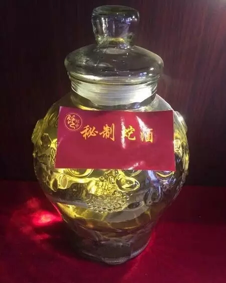 三蛇酒多少錢一瓶，龍山三蛇酒價(jià)格表