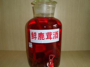 鹿茸怎樣泡酒？鹿茸用什么酒泡比較好