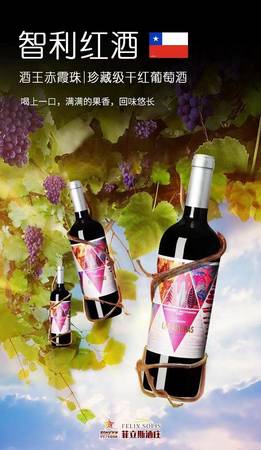 學葡萄酒的送什么禮物(送禮送什么葡萄酒)